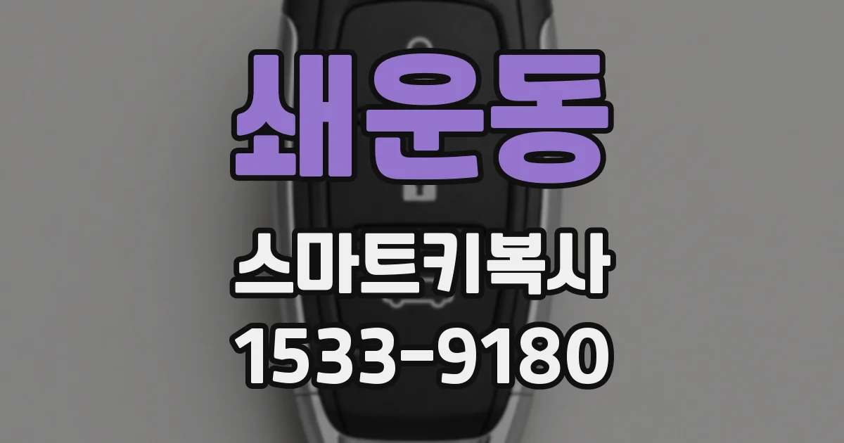 쇄운동 스마트키복사