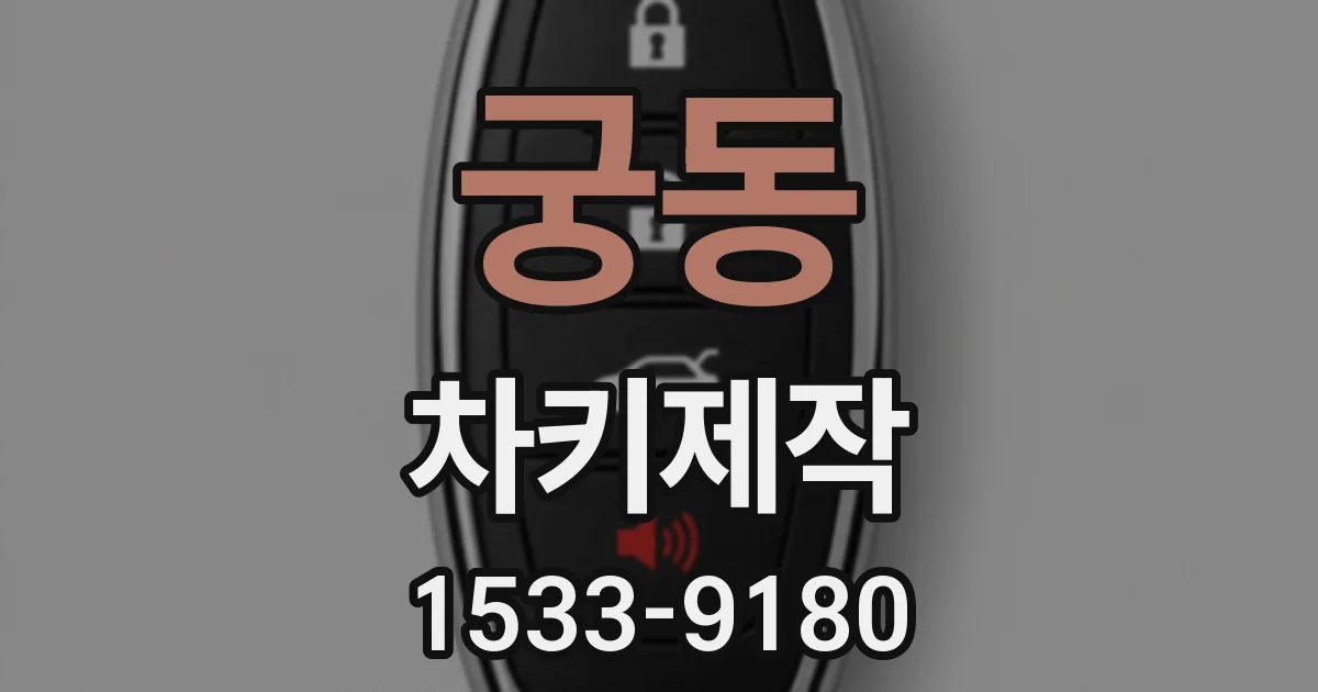 궁동 차키제작