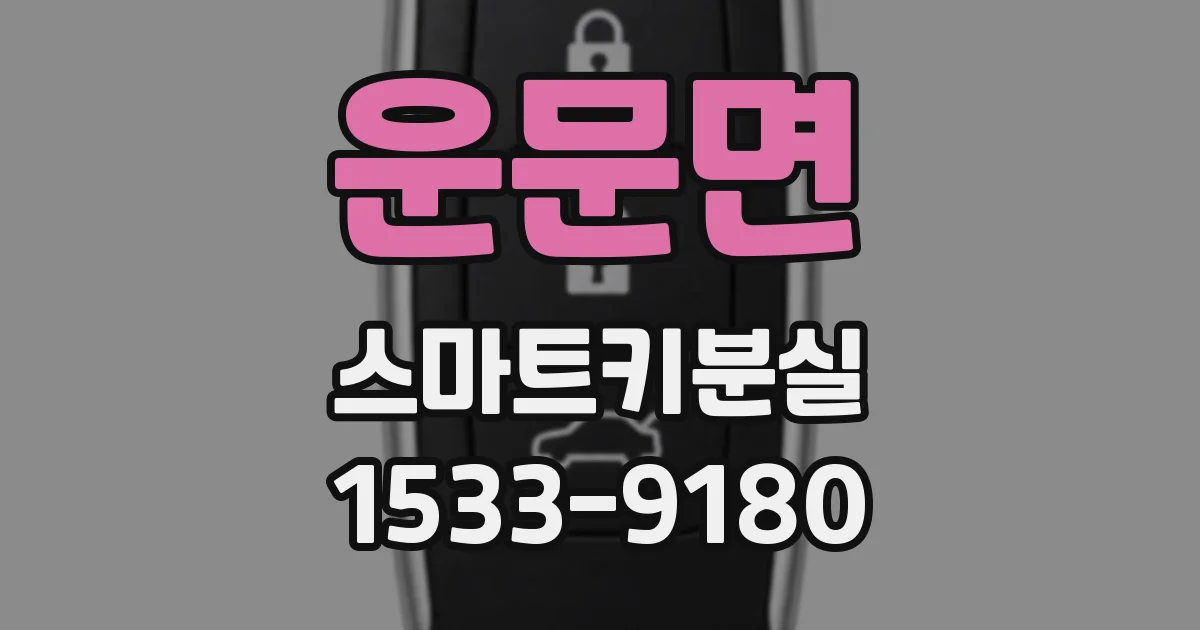운문면 스마트키분실