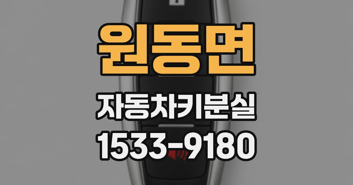 원동면 자동차키분실