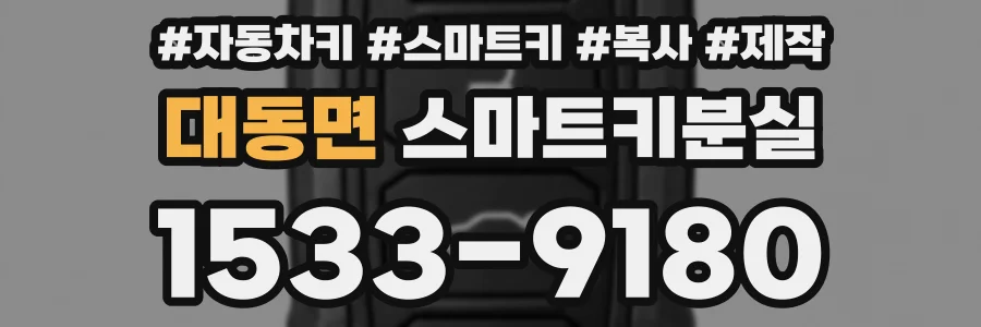 대동면 스마트키분실
