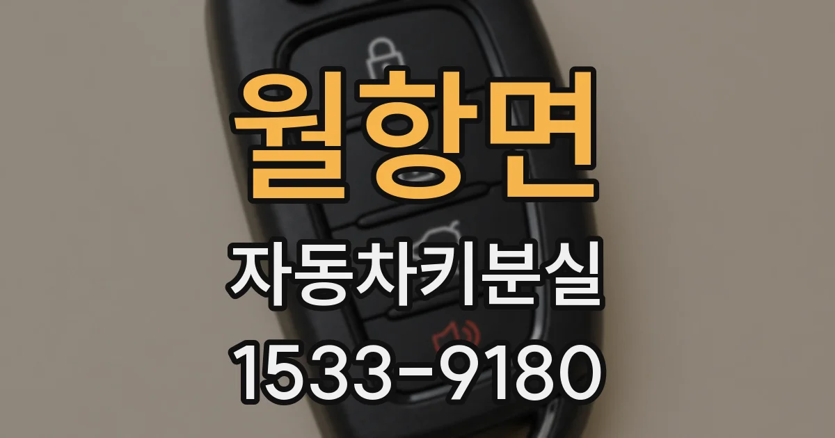 월항면 자동차키분실