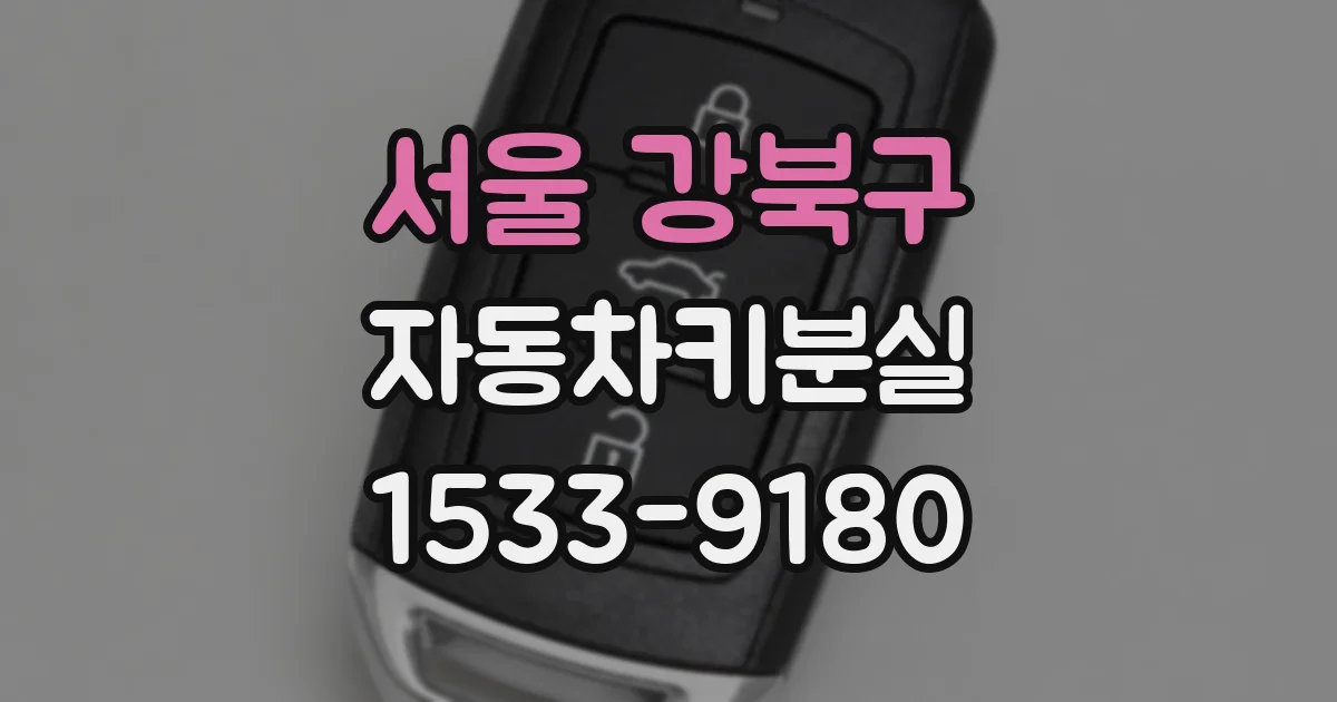 서울 강북구 자동차키분실