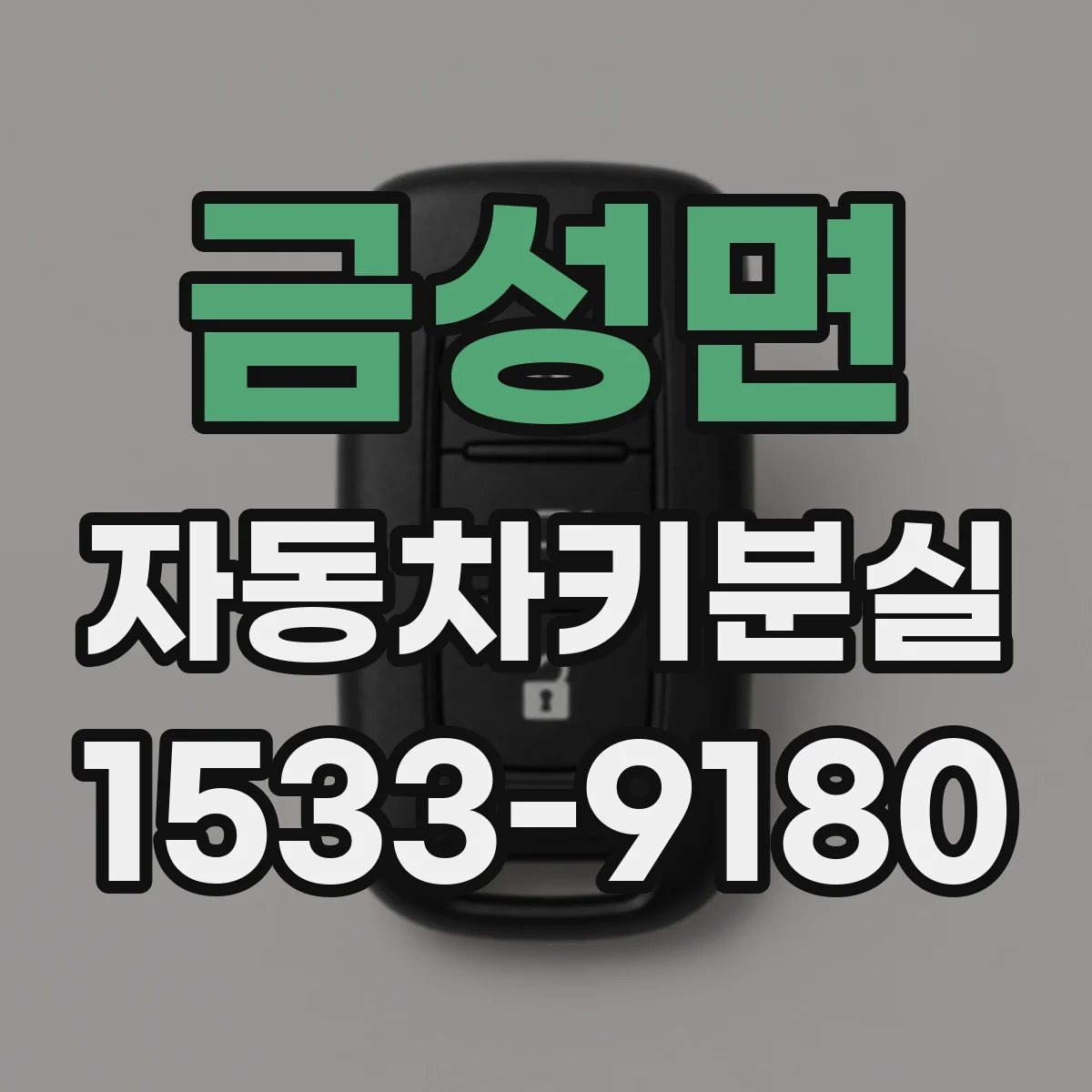 금성면 자동차키분실