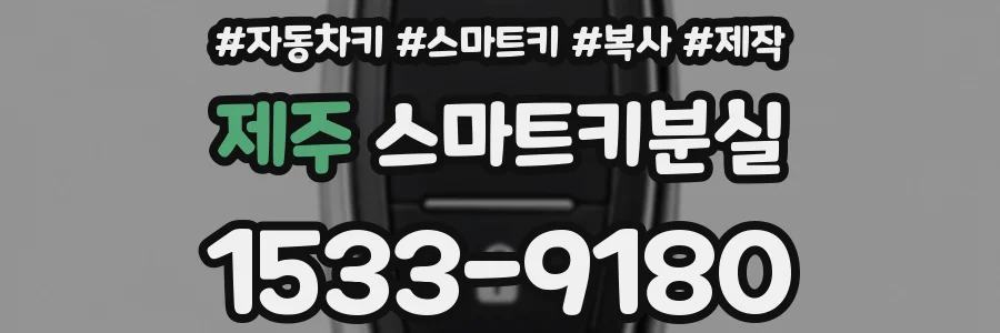 제주 스마트키분실