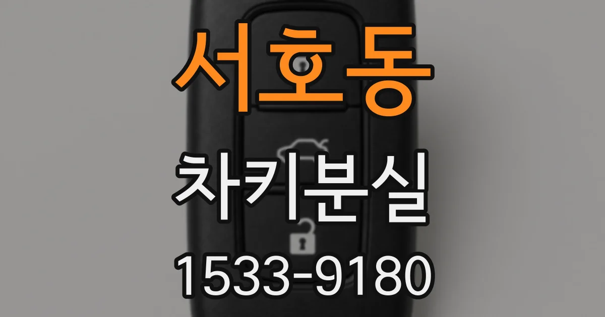 서호동 차키분실