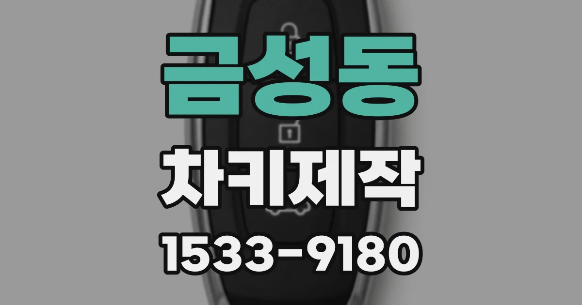 금성동 차키제작