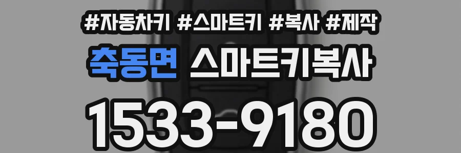 축동면 스마트키복사