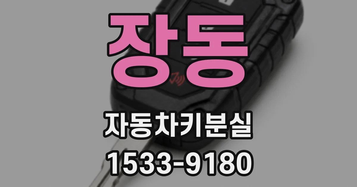 장동 자동차키분실
