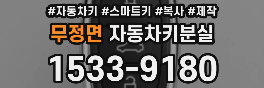 무정면 자동차키분실
