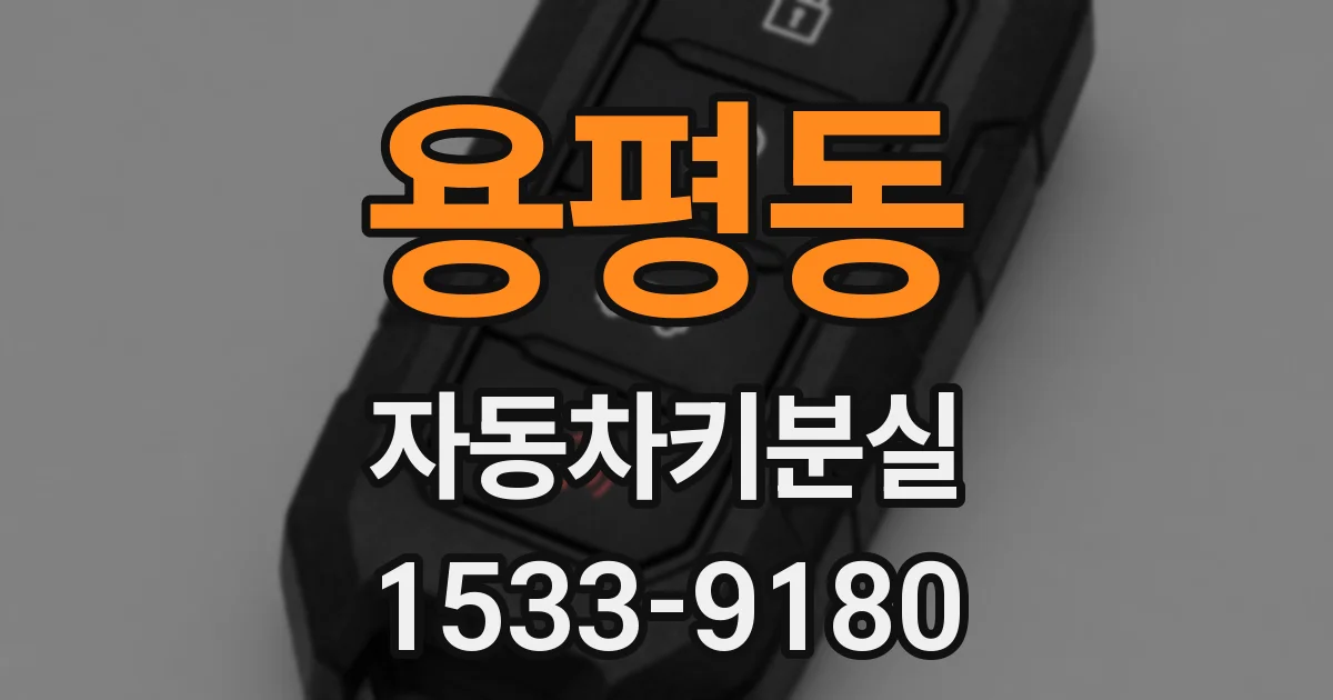 용평동 자동차키분실