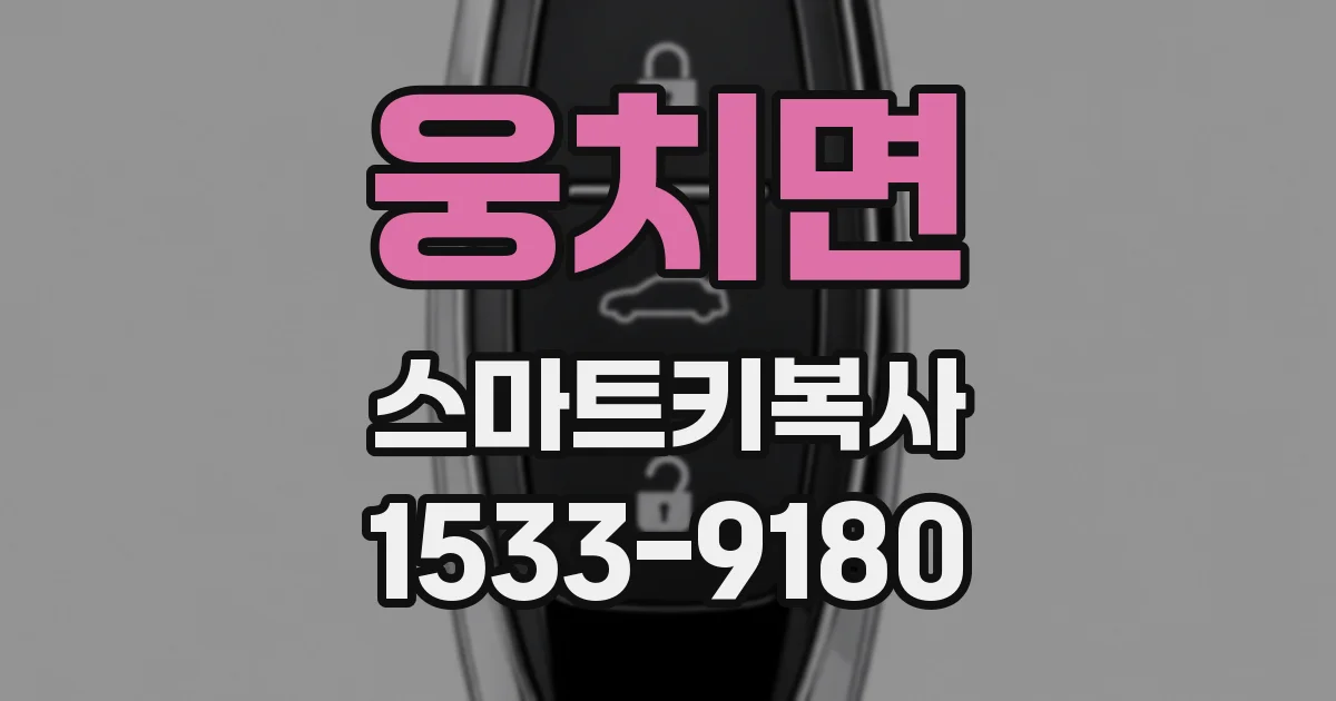 웅치면 스마트키복사