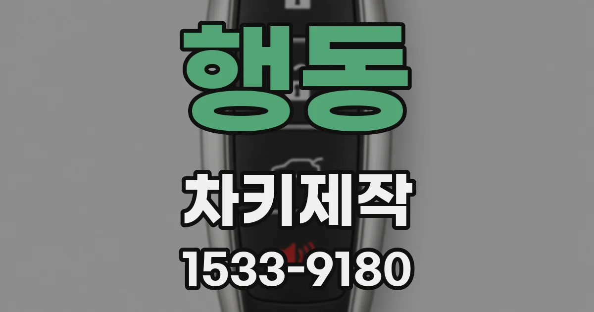 행동 차키제작