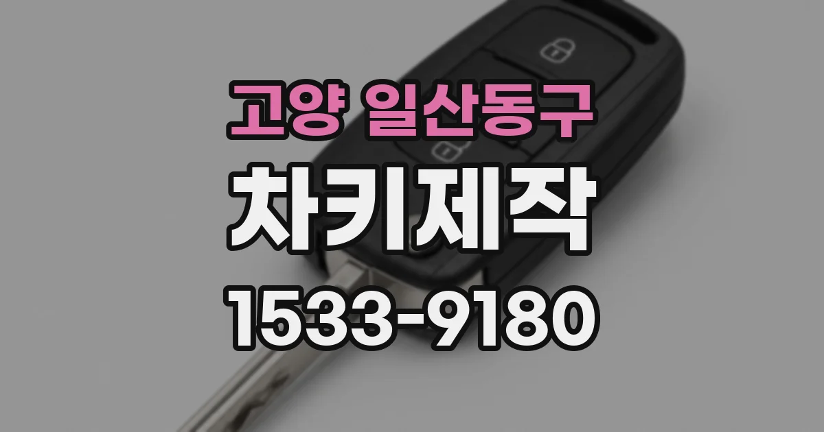 고양 일산동구 차키제작