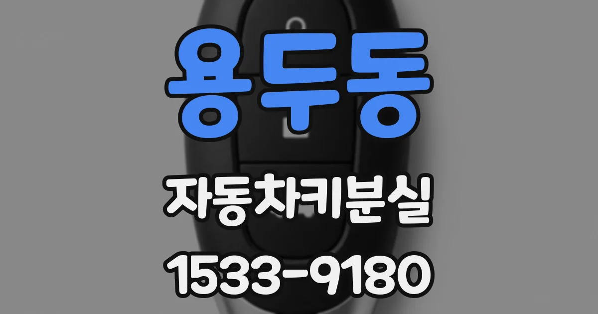 용두동 자동차키분실