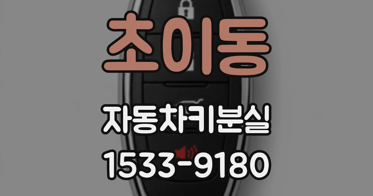초이동 자동차키분실