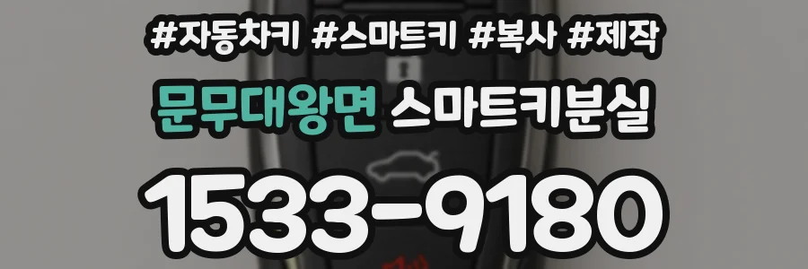 문무대왕면 스마트키분실