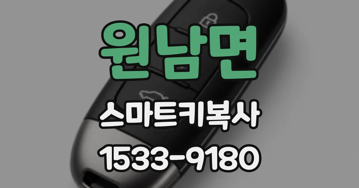 원남면 스마트키복사