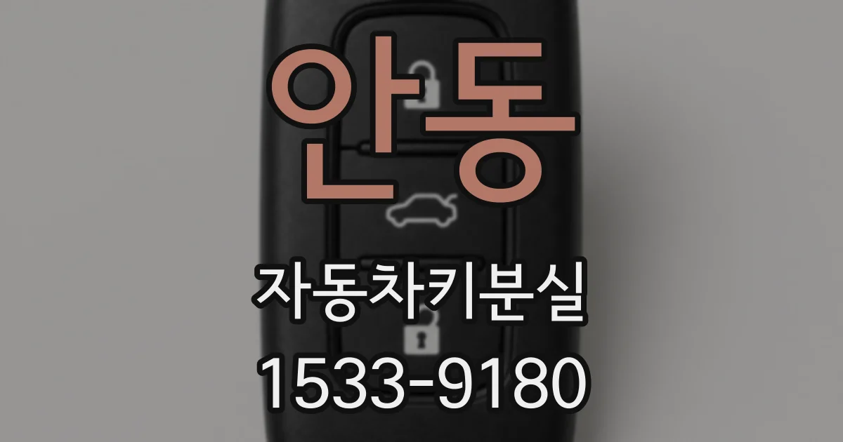 안동 자동차키분실