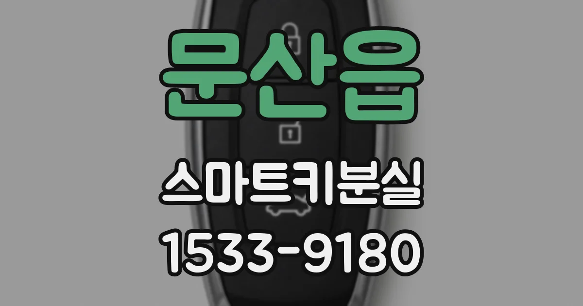 문산읍 스마트키분실
