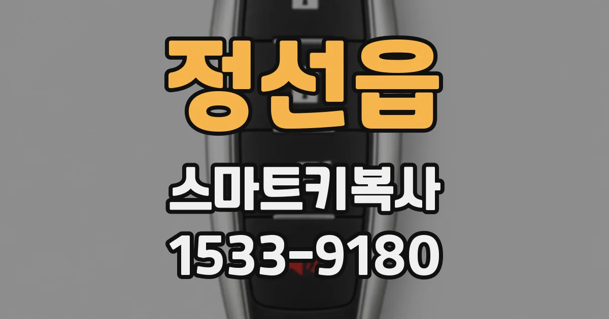정선읍 스마트키복사