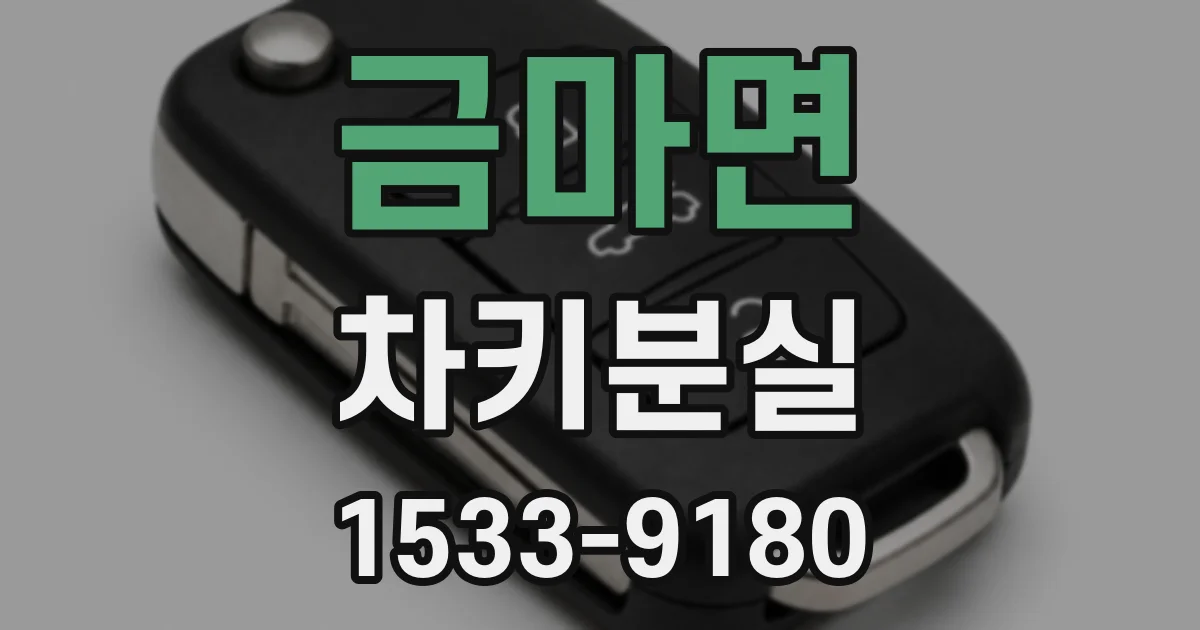금마면 차키분실