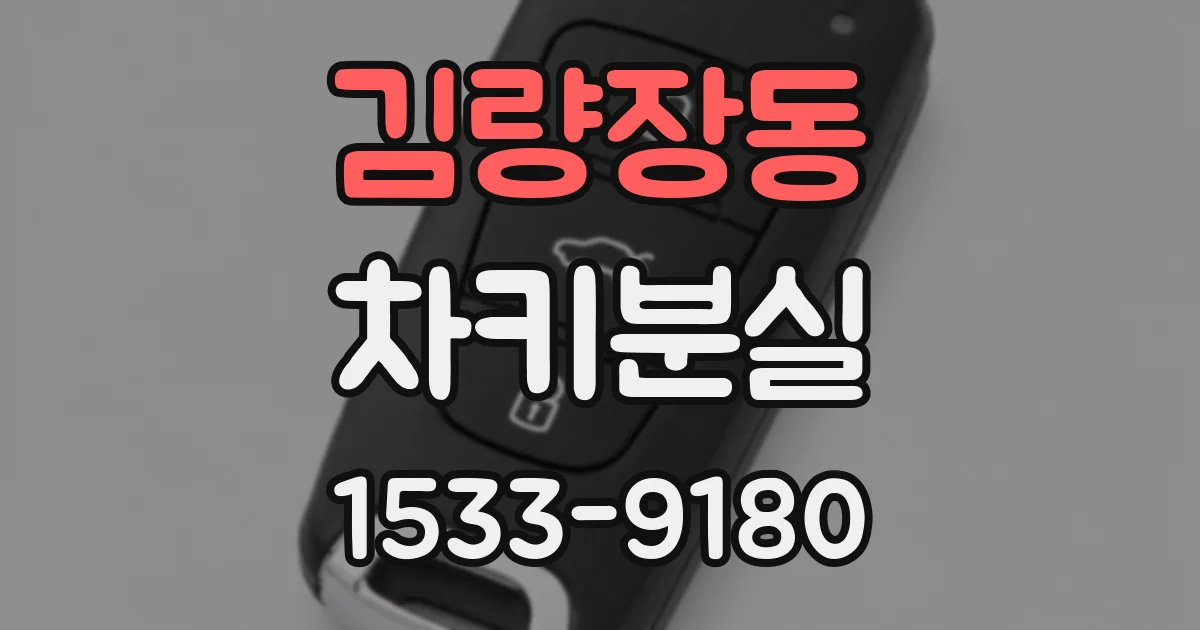 김량장동 차키분실