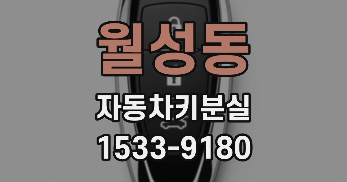 월성동 자동차키분실