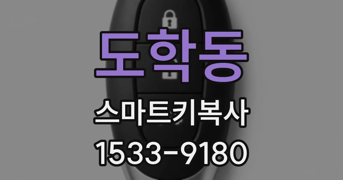 도학동 스마트키복사