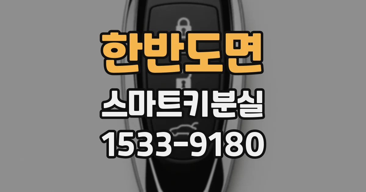 한반도면 스마트키분실
