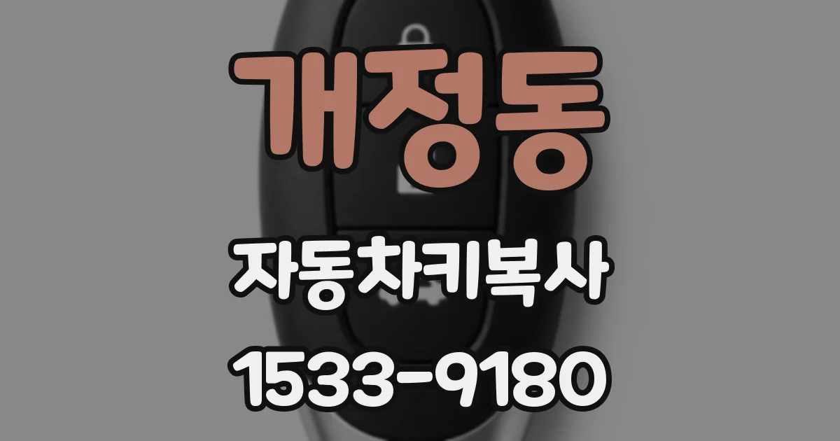 개정동 자동차키복사