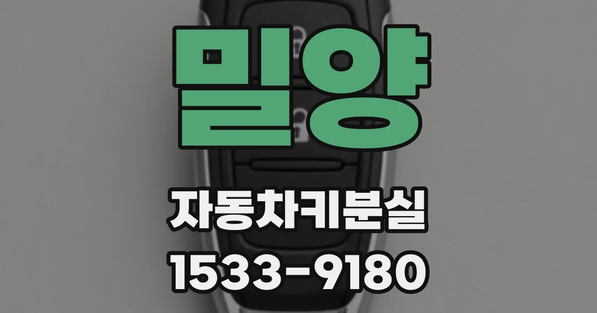밀양 자동차키분실