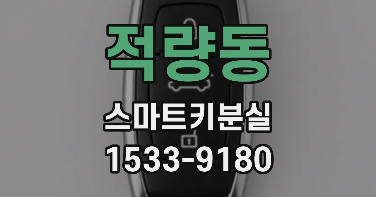 적량동 스마트키분실