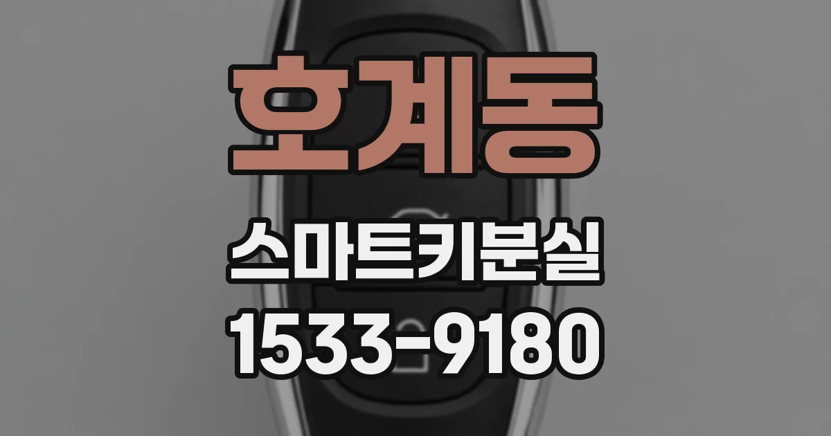호계동 스마트키분실
