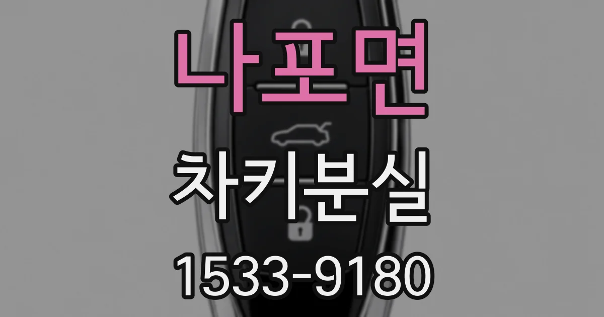 나포면 차키분실