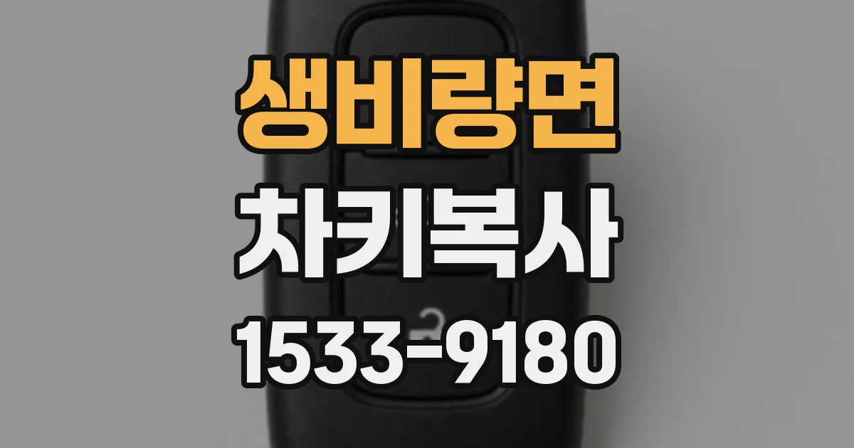 생비량면 차키복사