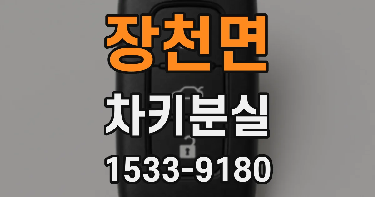 장천면 차키분실