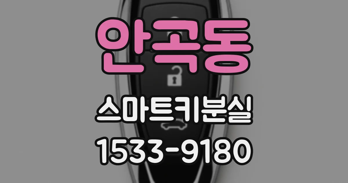 안곡동 스마트키분실