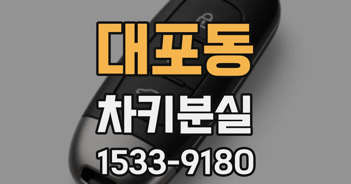 대포동 차키분실