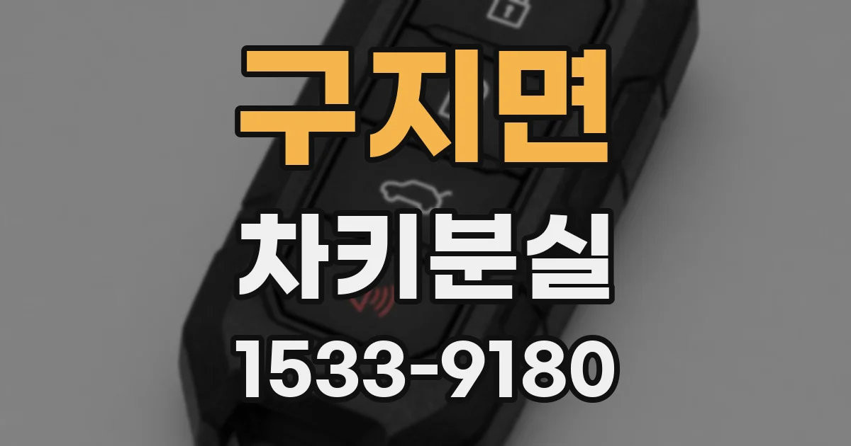 구지면 차키분실