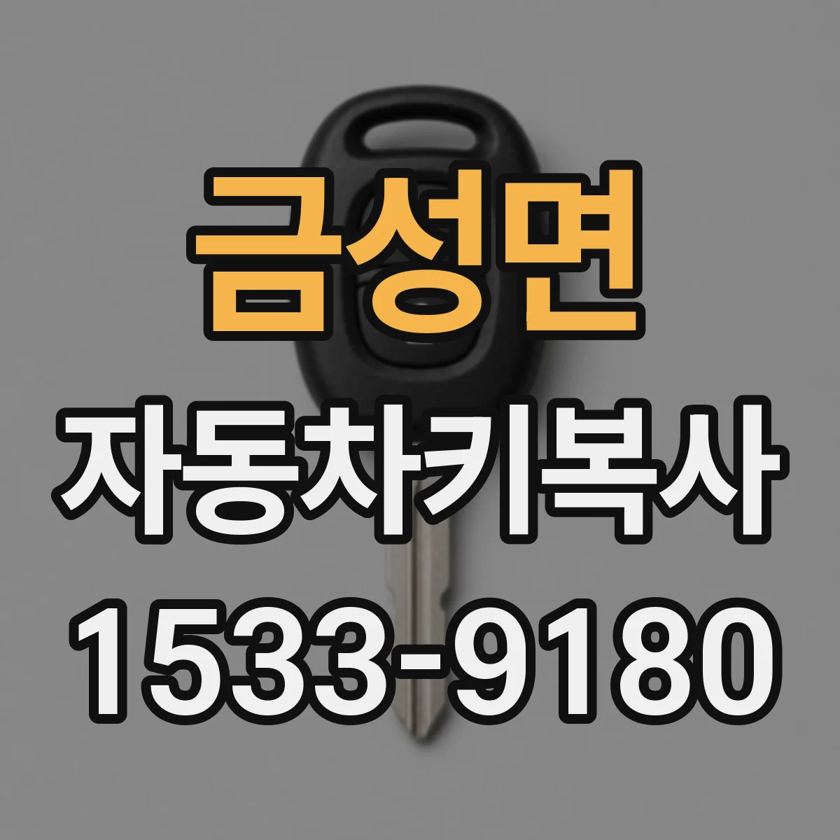 금성면 자동차키복사