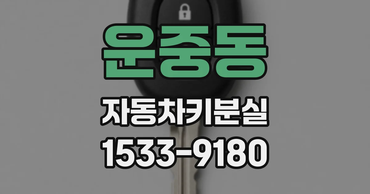 운중동 자동차키분실