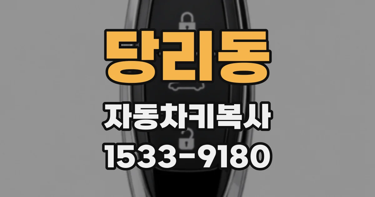 당리동 자동차키복사