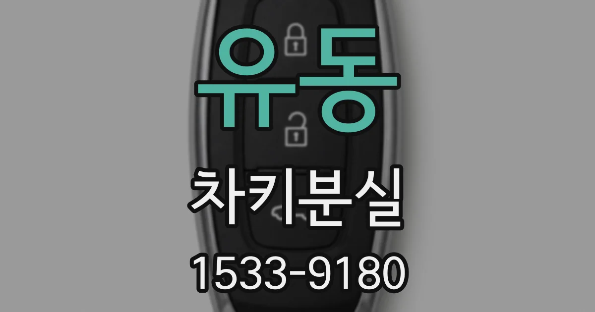 유동 차키분실