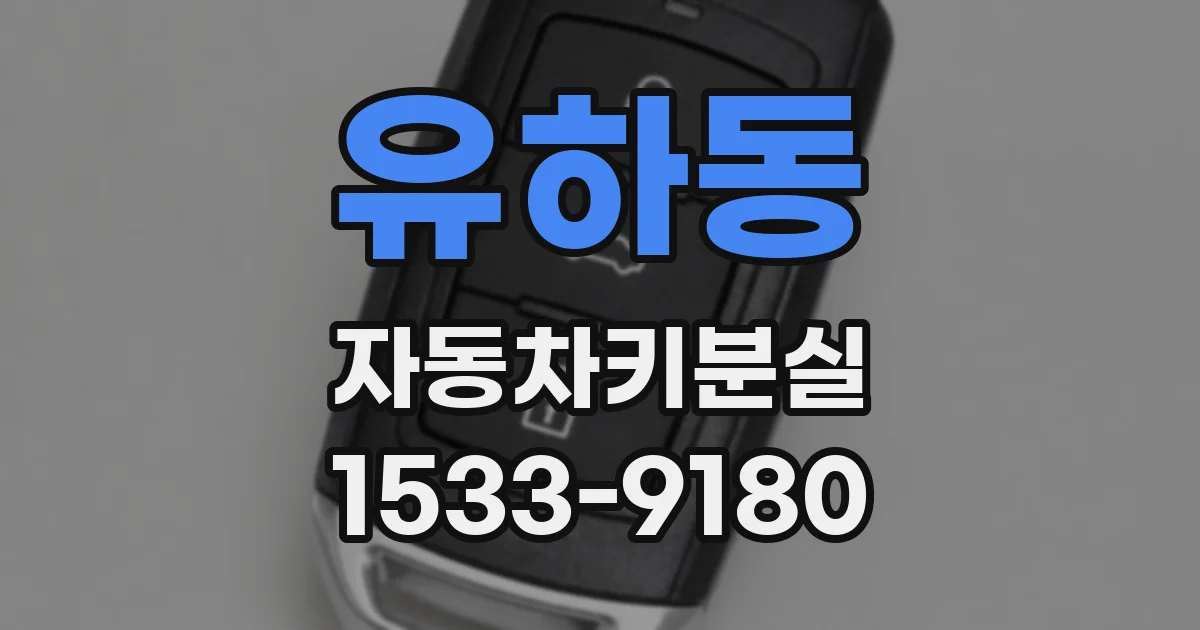 유하동 자동차키분실