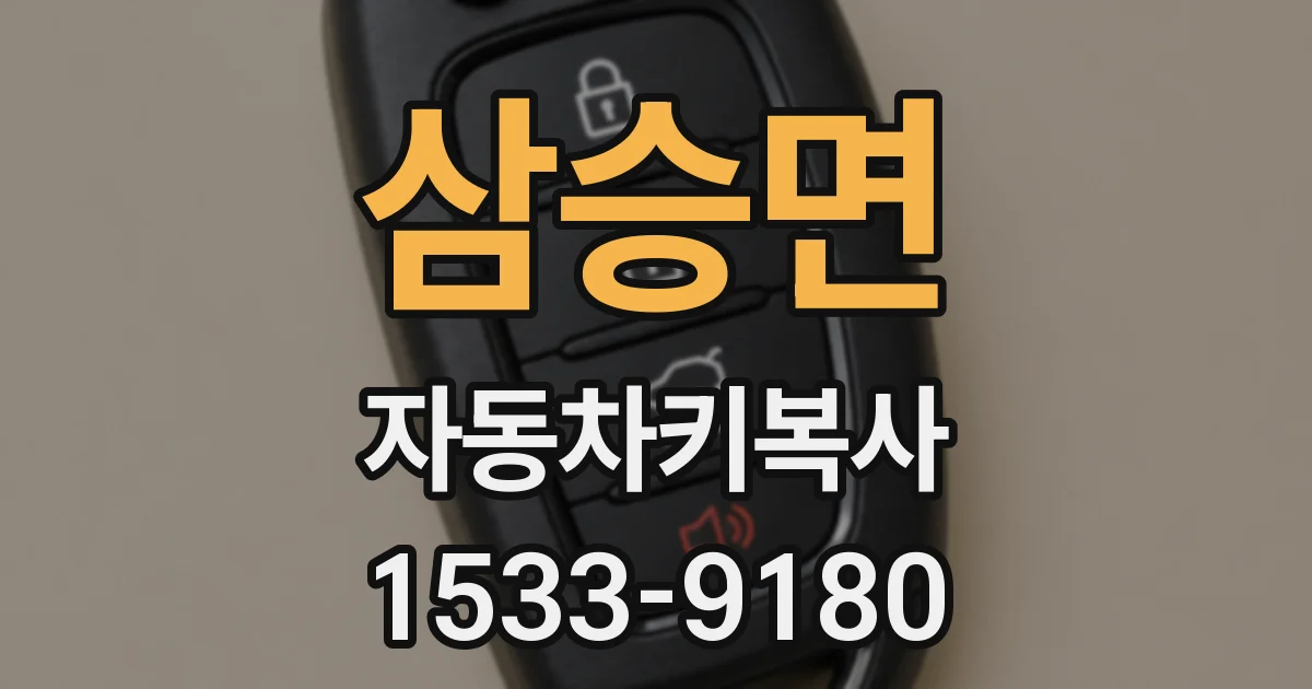 삼승면 자동차키복사