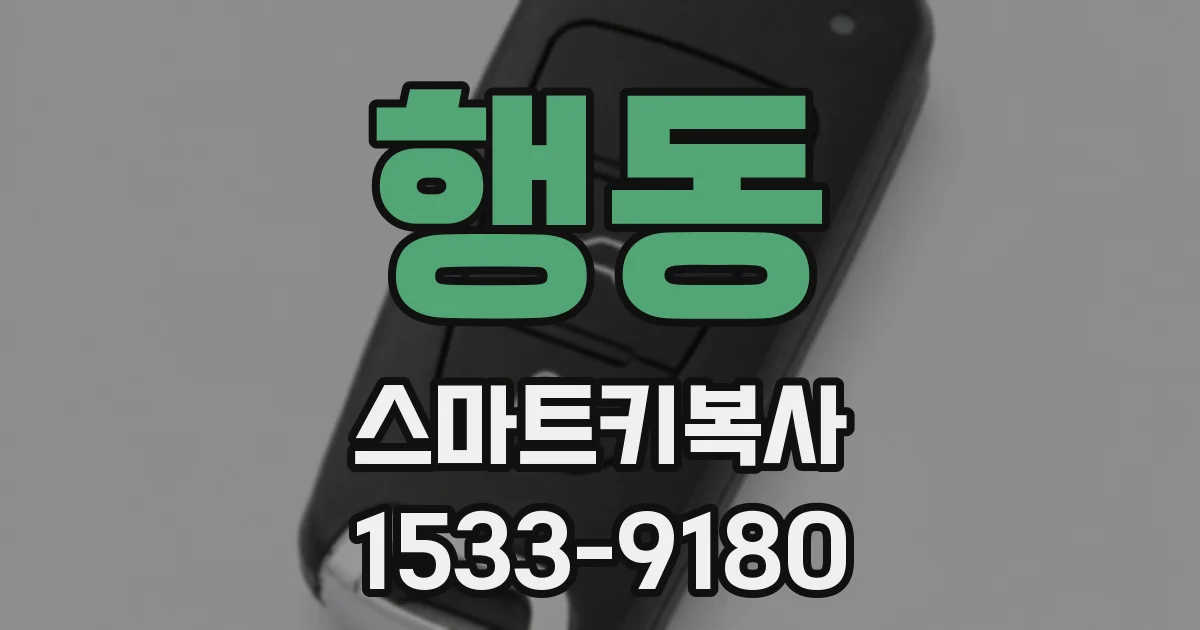 행동 스마트키복사