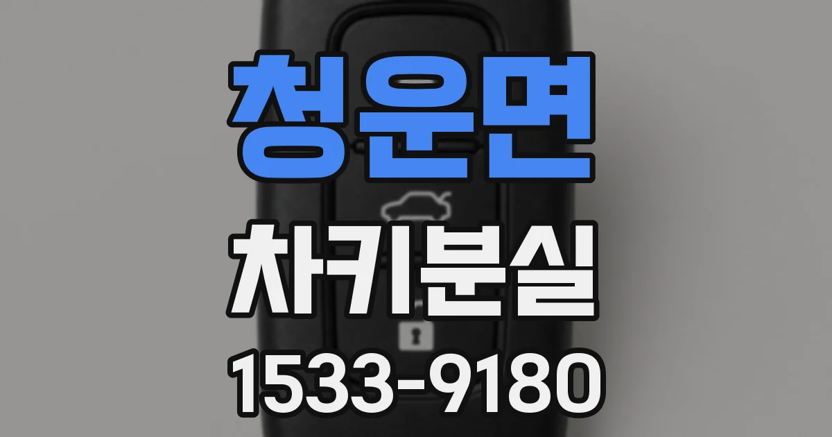 청운면 차키분실