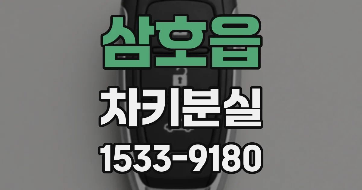 삼호읍 차키분실