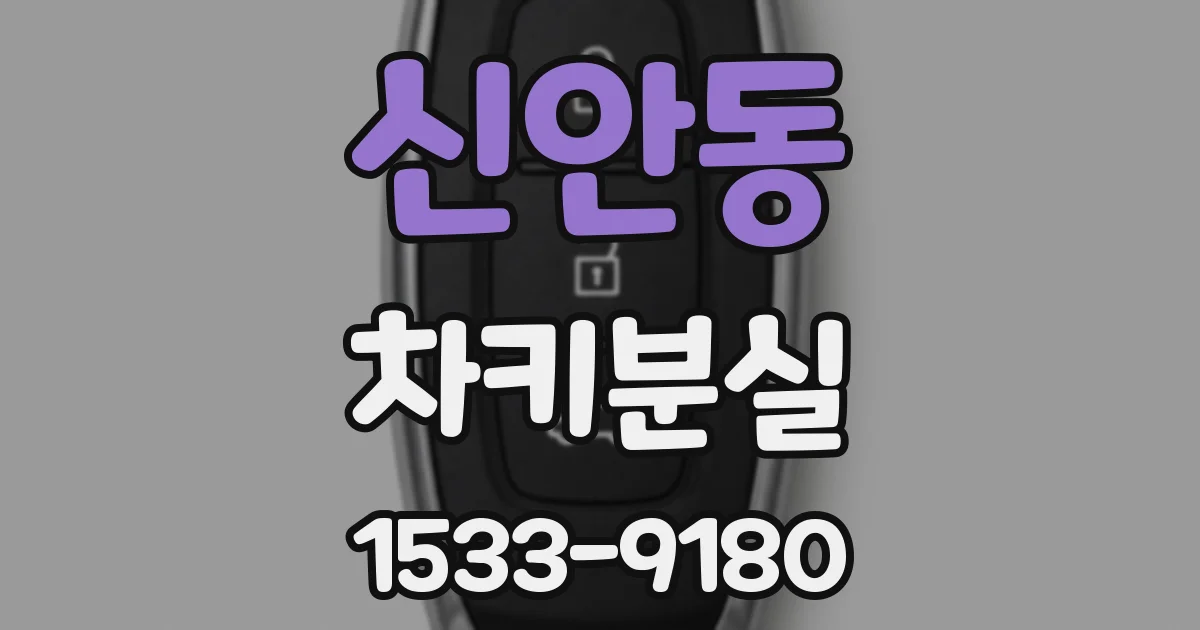 신안동 차키분실
